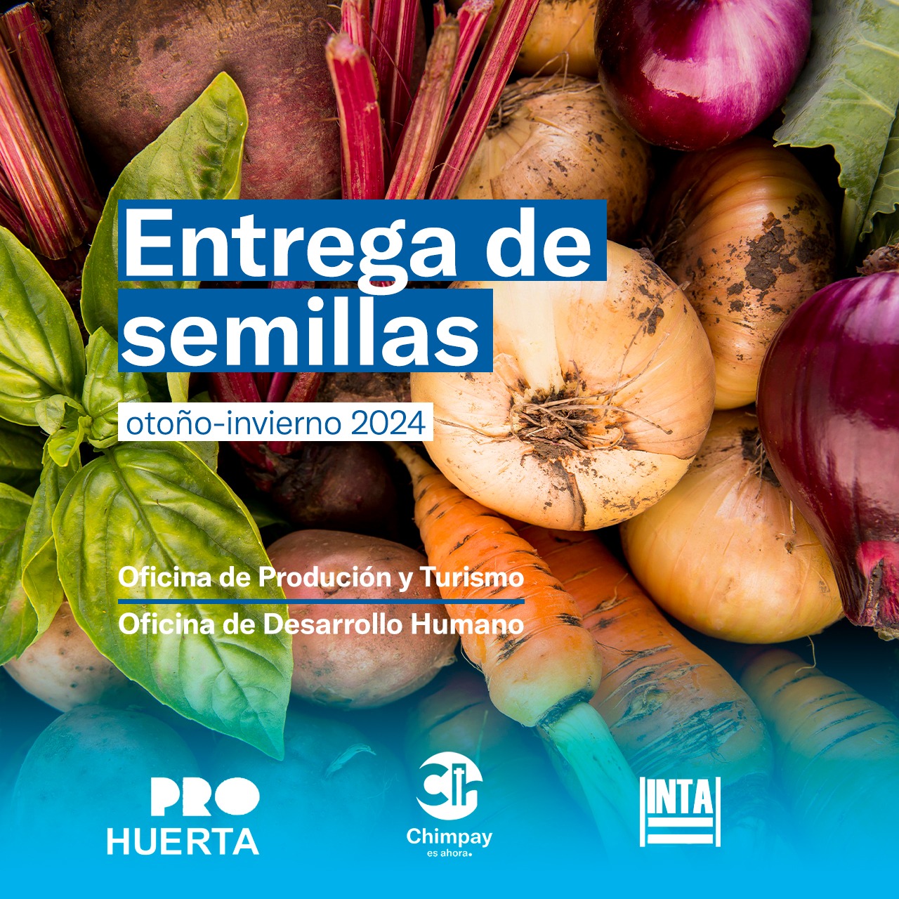 Programa #ProHuerta