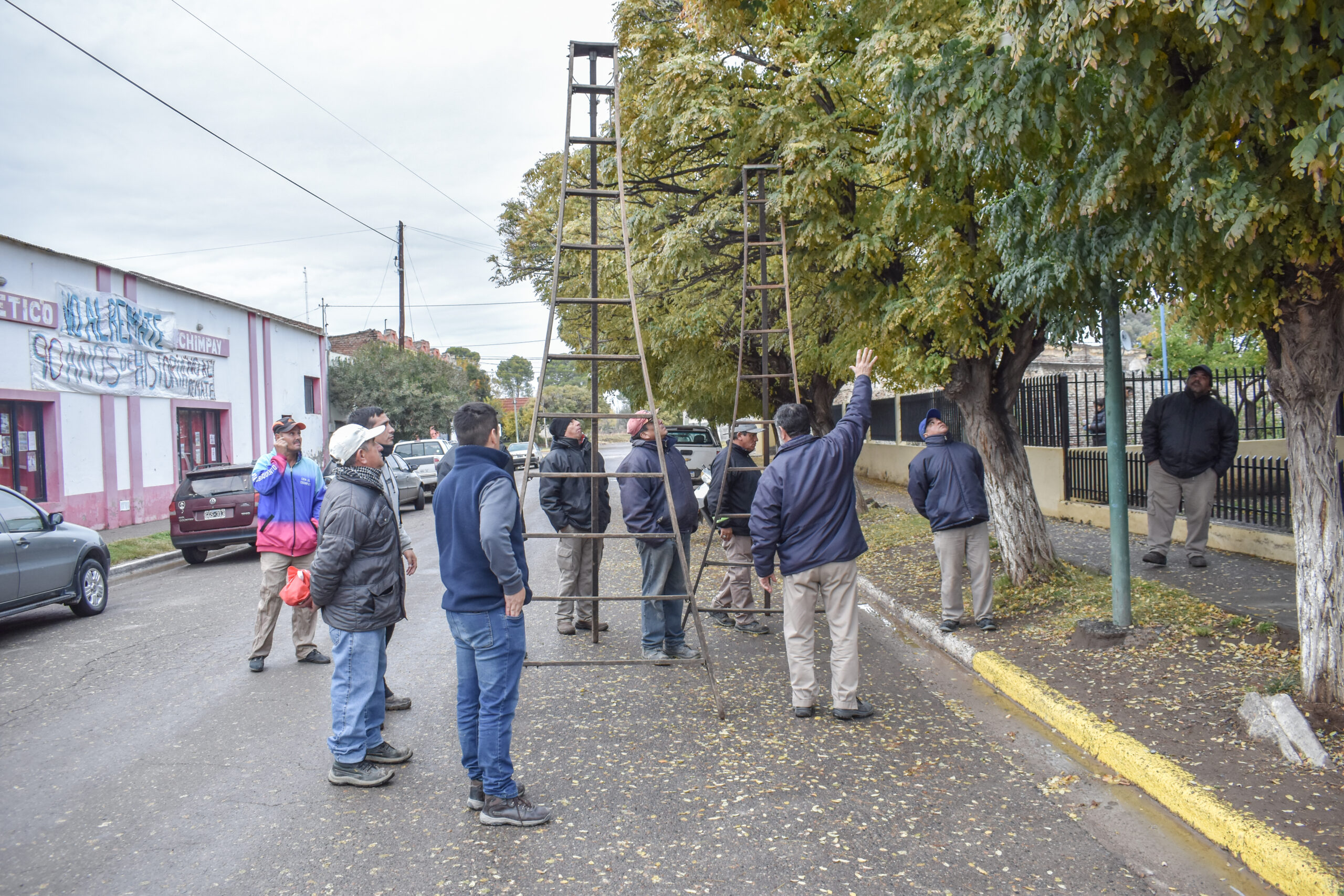CURSO DE PODA ARBOLES DE VEREDA
